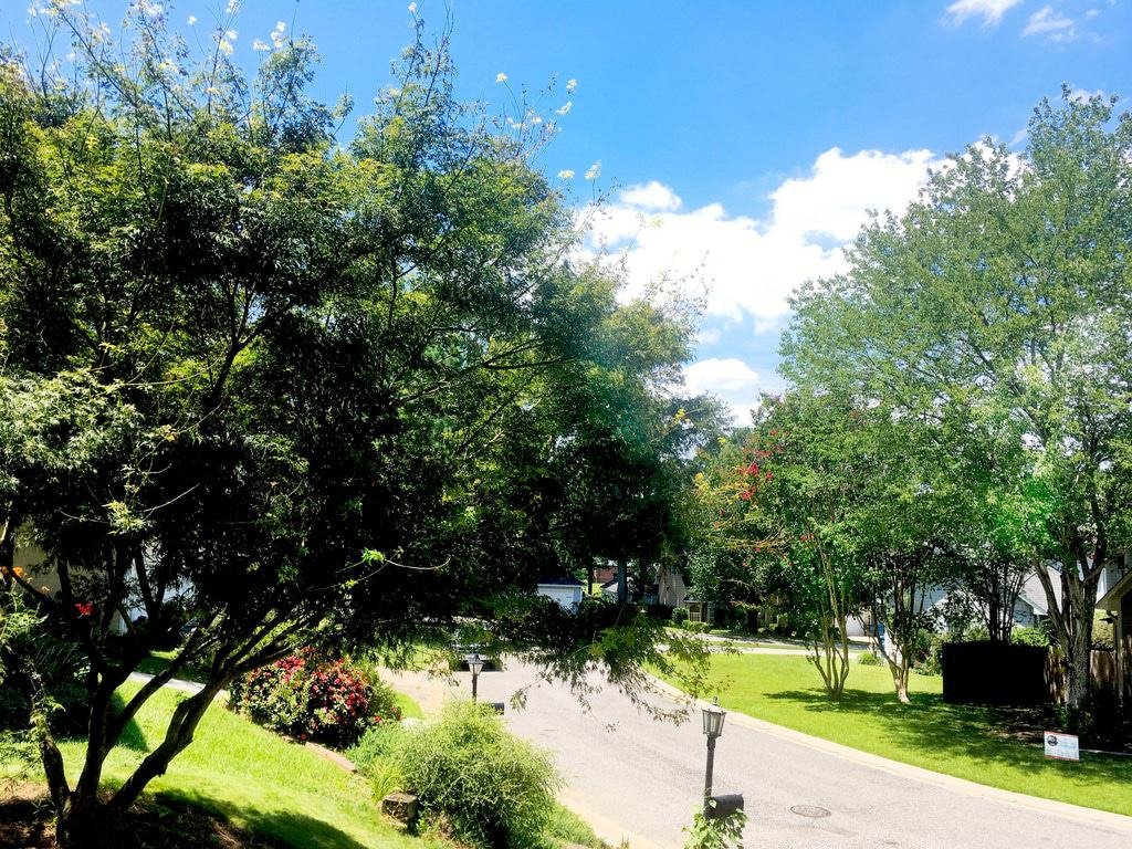 Homewood, Alabama