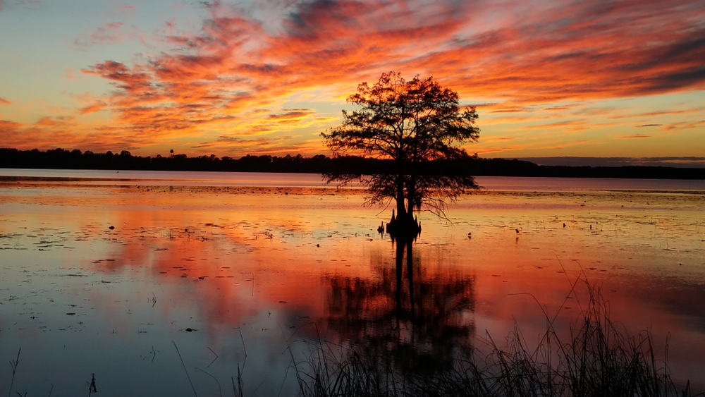 Lake Seminole