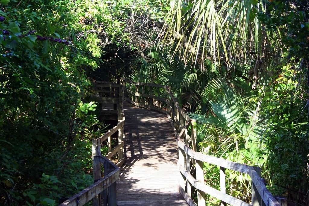 Lori Wilson Park