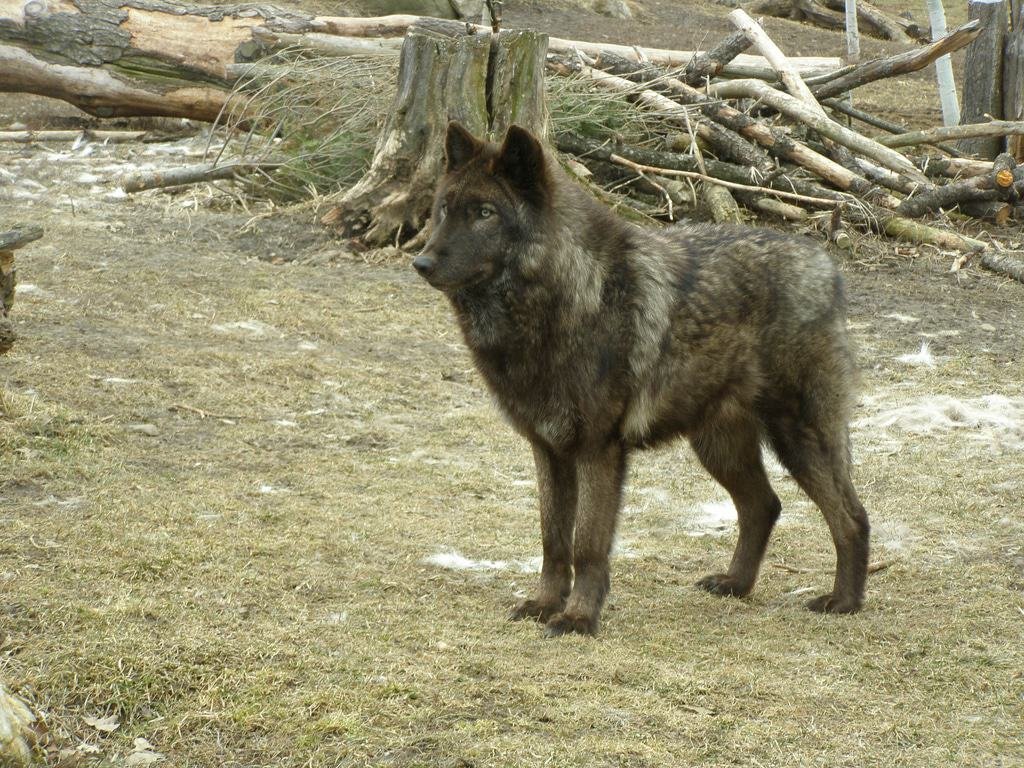 Philips Park Zoo