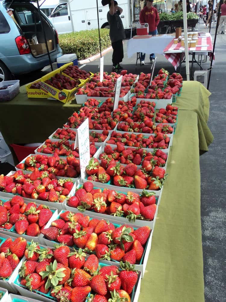 Somersville Towne Center Farmers Market