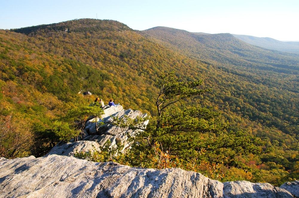 Talladega National Forest
