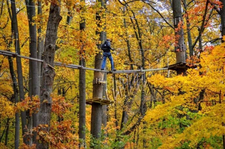 The Adventure Park At The Discovery Museum
