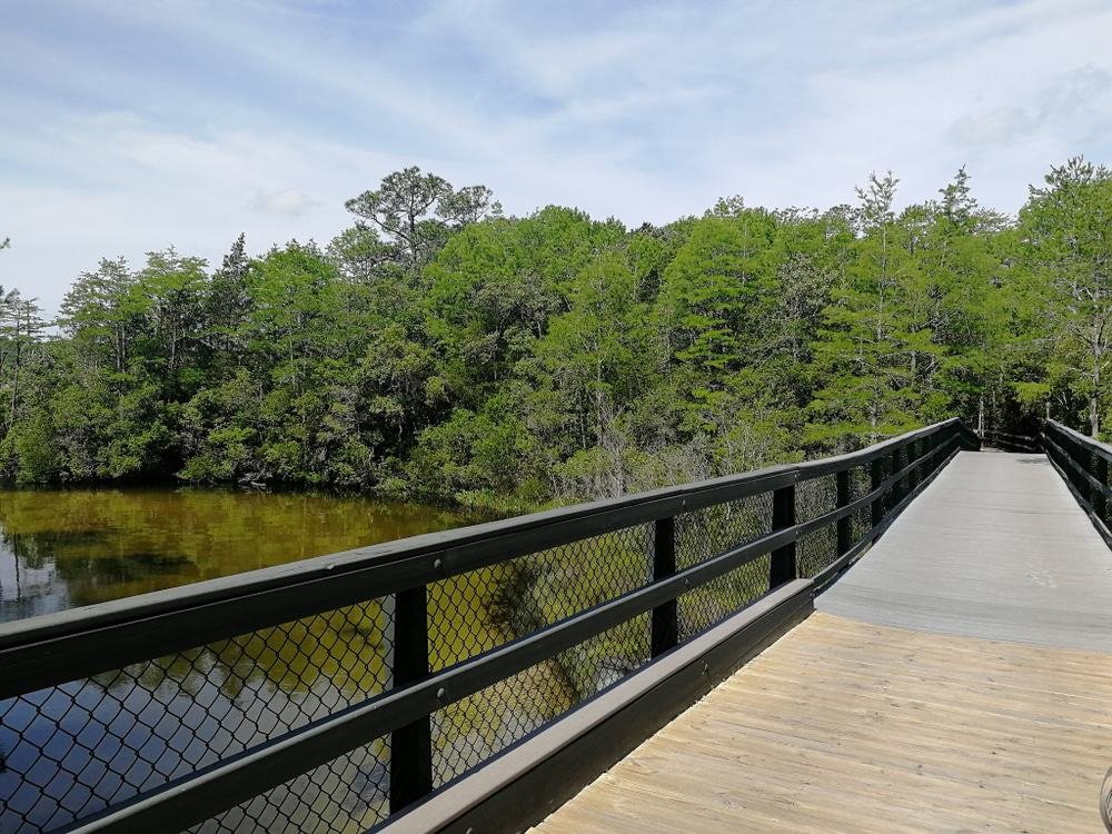 Turkey Creek Nature Trail
