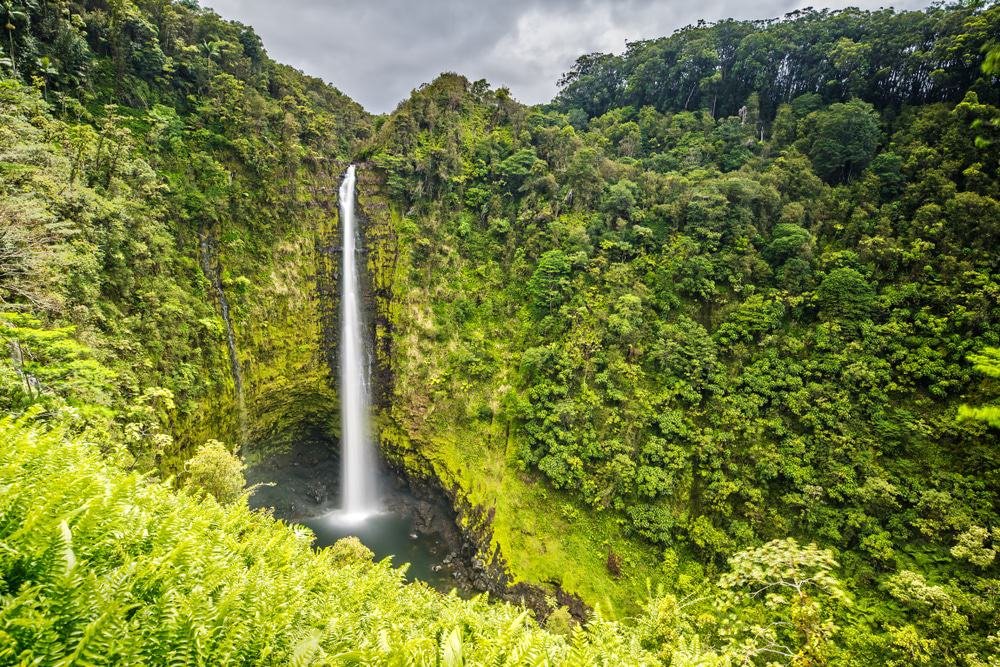 Akaka Falls State Park