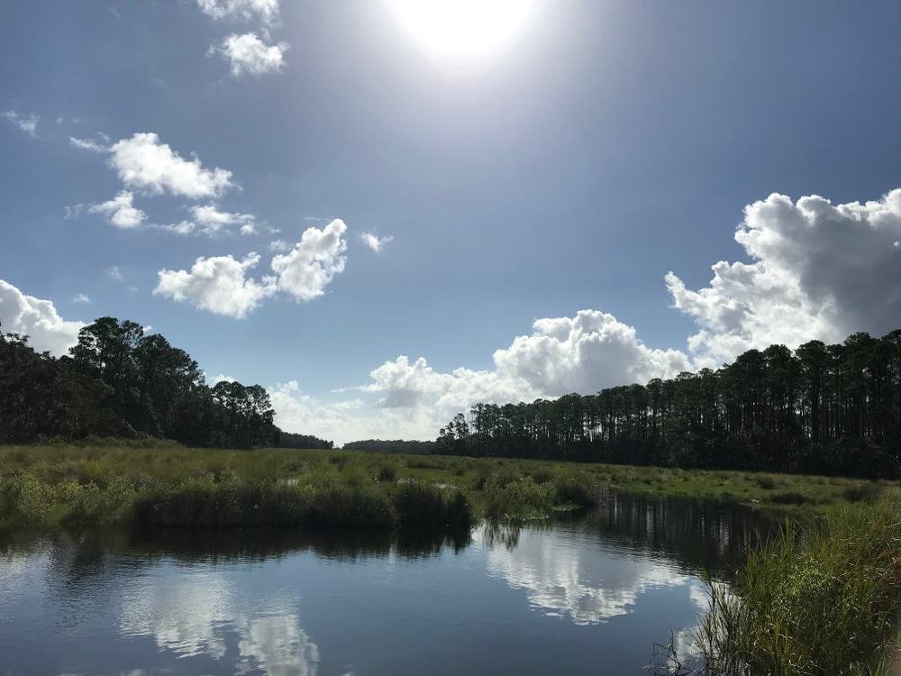 Bulow Creek State Park