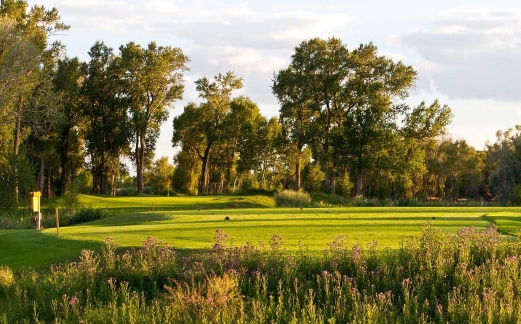 Cattails Golf Course