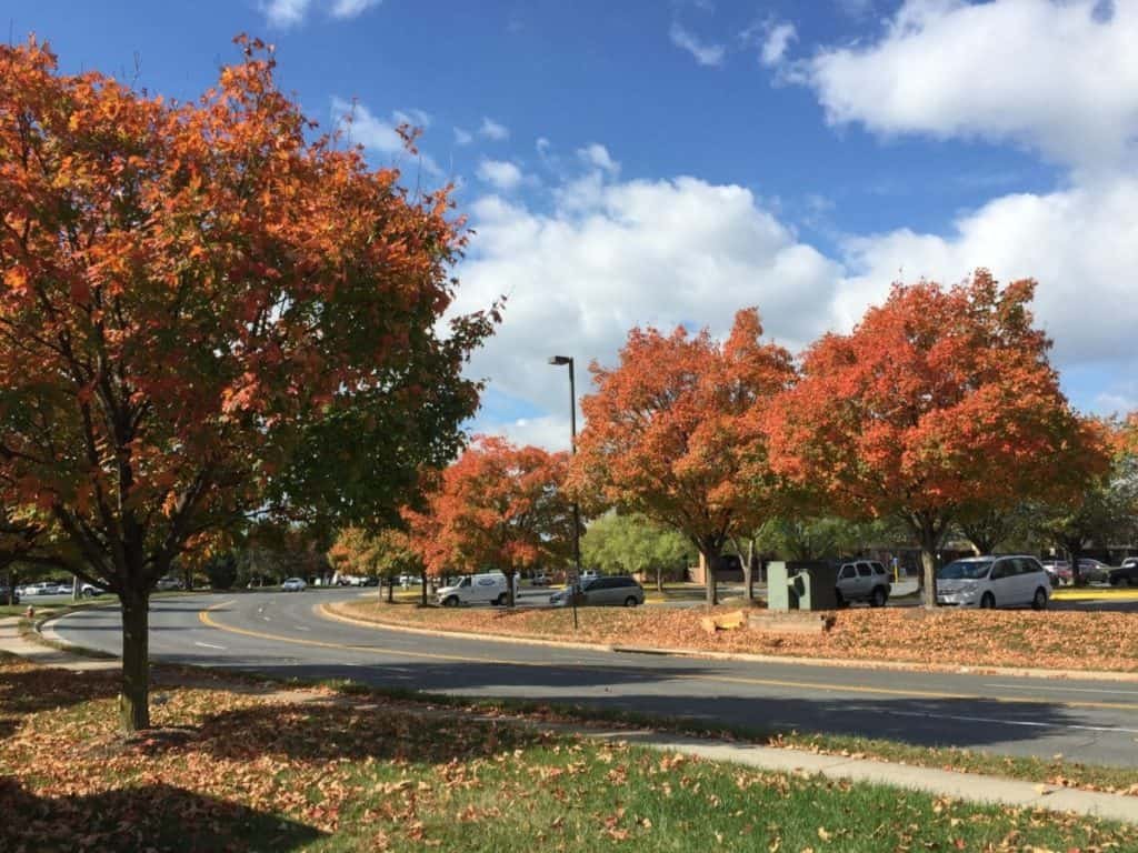 Chantilly, Virginia