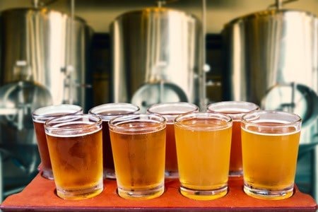 Denver Microbrew Tour