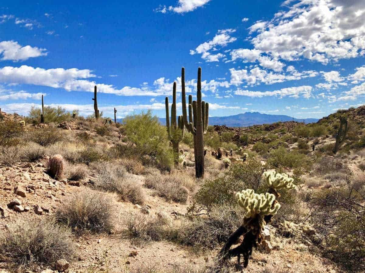 Dixie Mine Trail