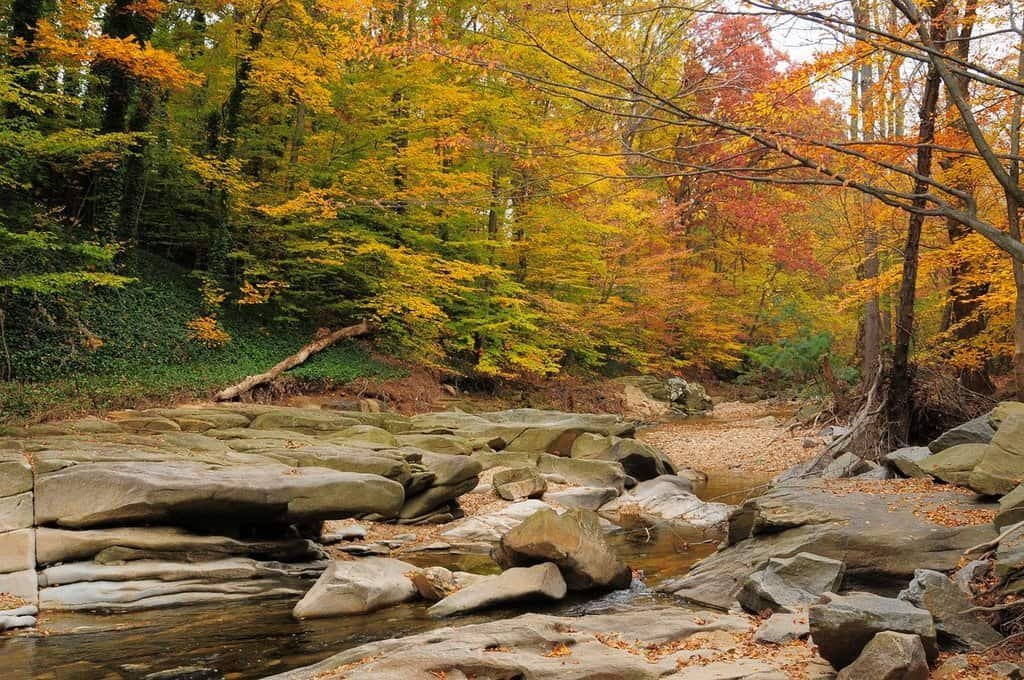 Dora Kelley Nature Park