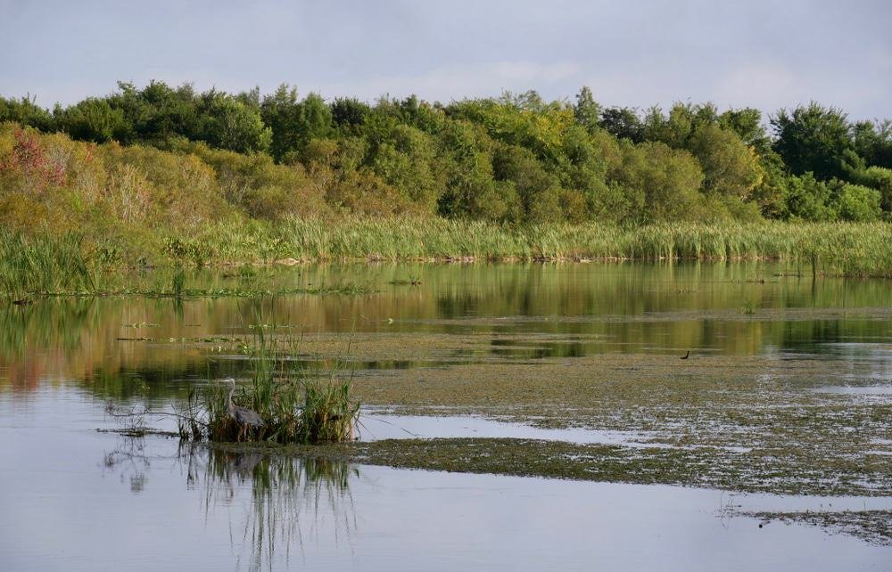 Emeralda Marsh Conservation Area