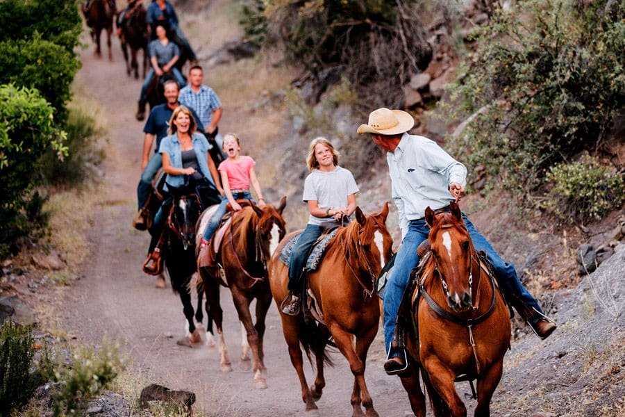 Jeep Tour, Horseback Ride, And Dinner Show