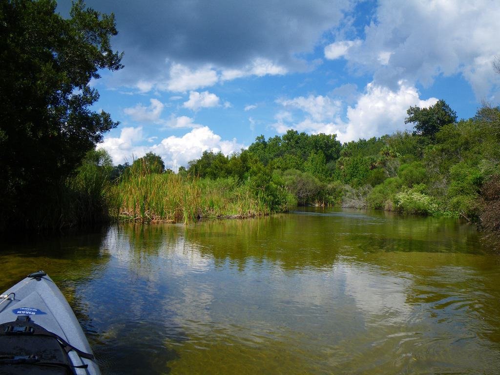Juniper Springs