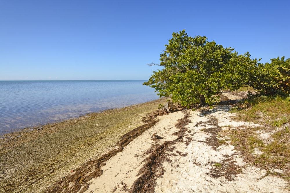 Long Key State Park