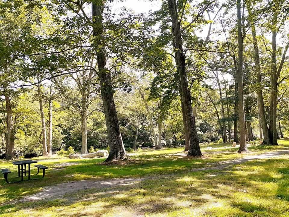 Philip Lauter Park