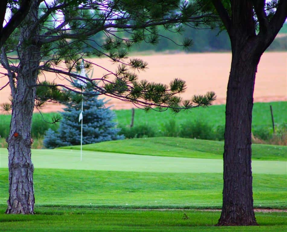Mountain Vista Golf Course