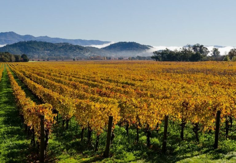 Napa Valley
