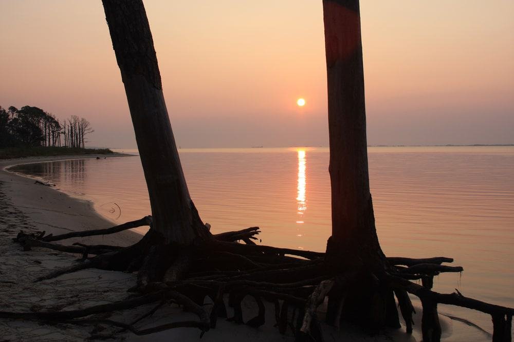 Naval Live Oaks Preserve