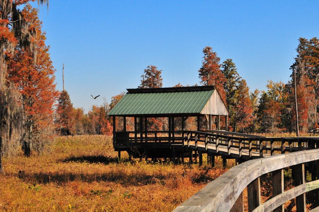 Phinizy Swamp Nature Park