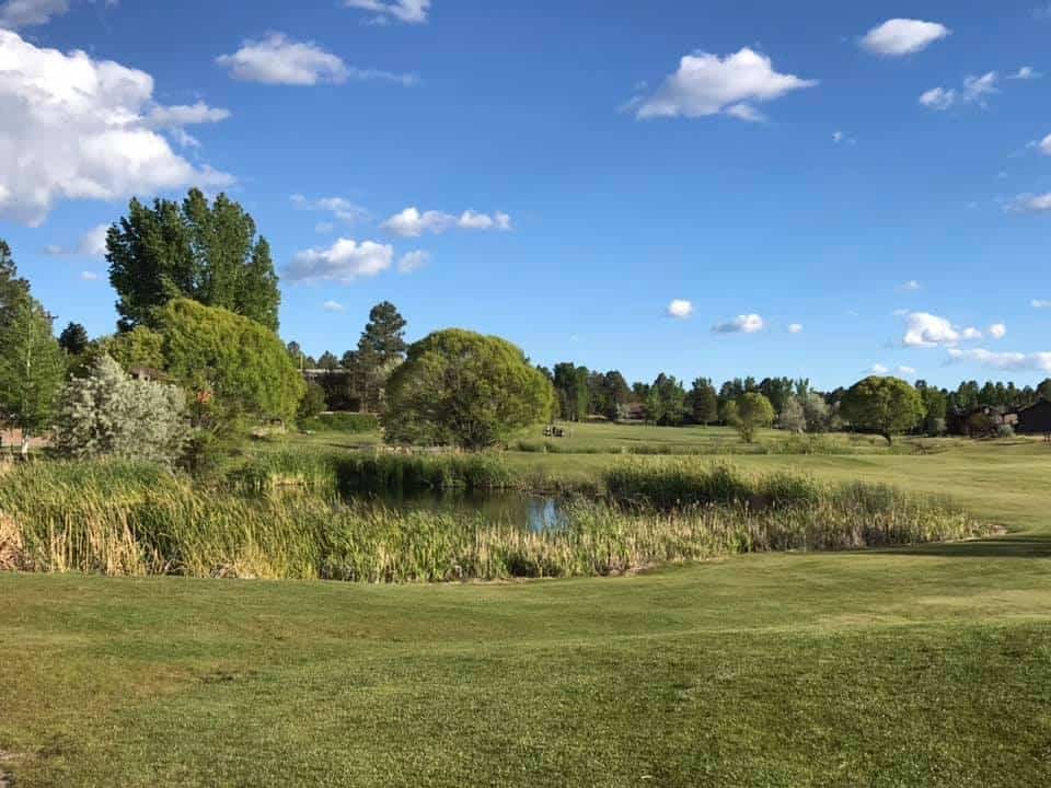 Bison Golf Club