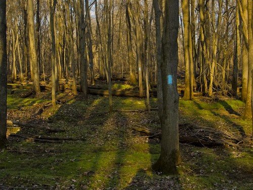 Quinnipiac Trail