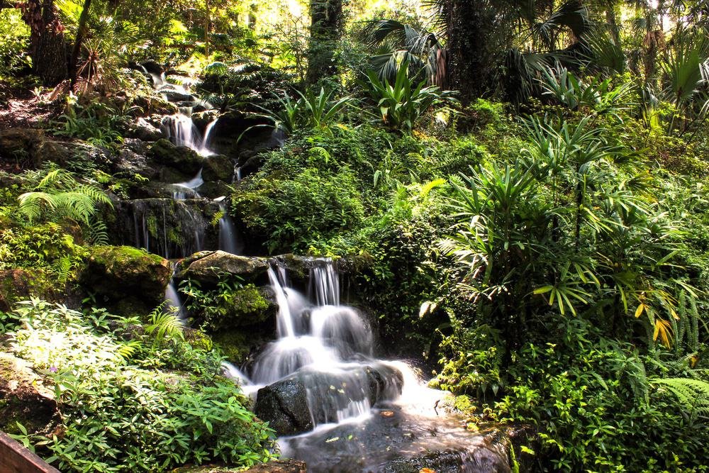 Rainbow Springs, Dunnellon