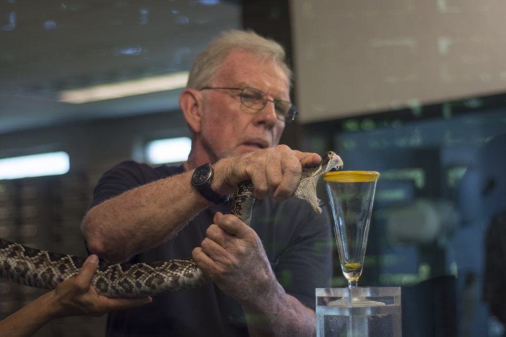 Reptile World Serpentarium