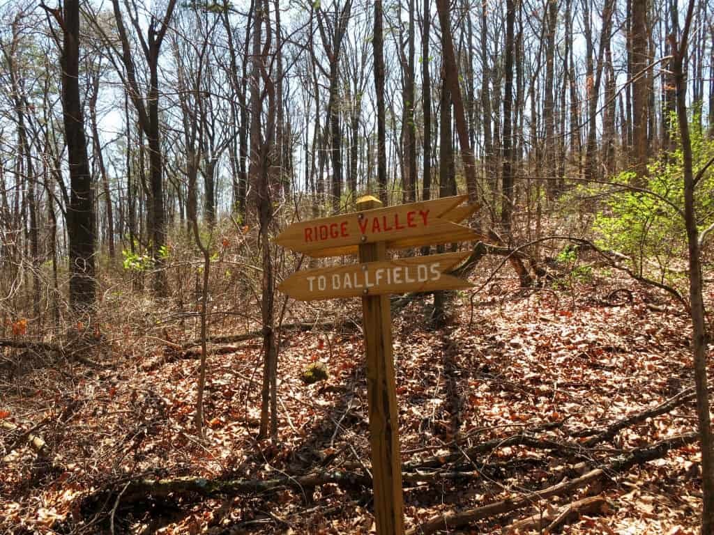 Ruffner Mountain