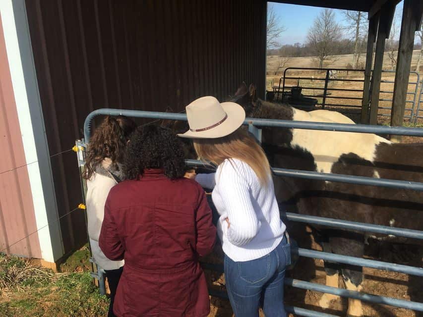 American Farm Tour