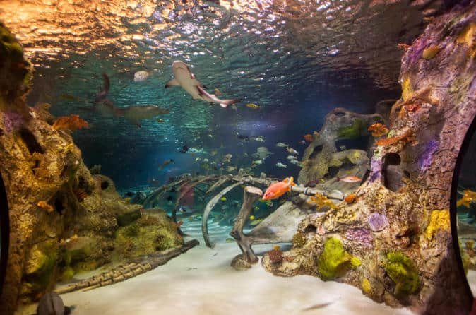 SEA LIFE Aquarium