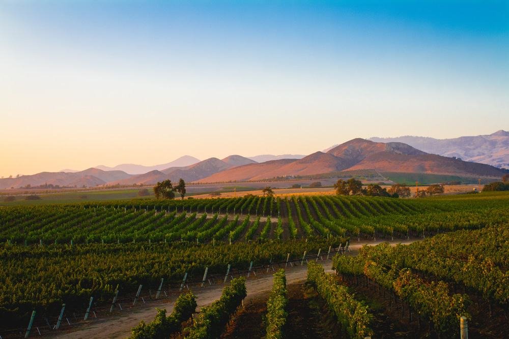 Santa Ynez Valley Winery