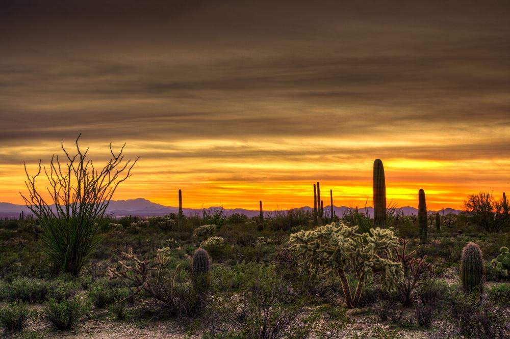 Tucson Mountain Park