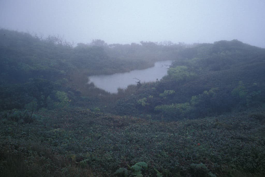 Violet Lake, Maui