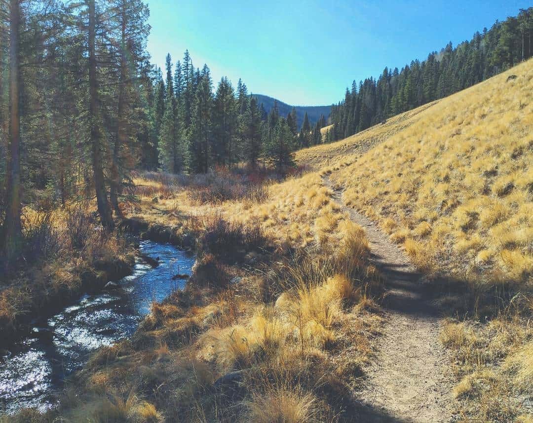 West Baldy Trail