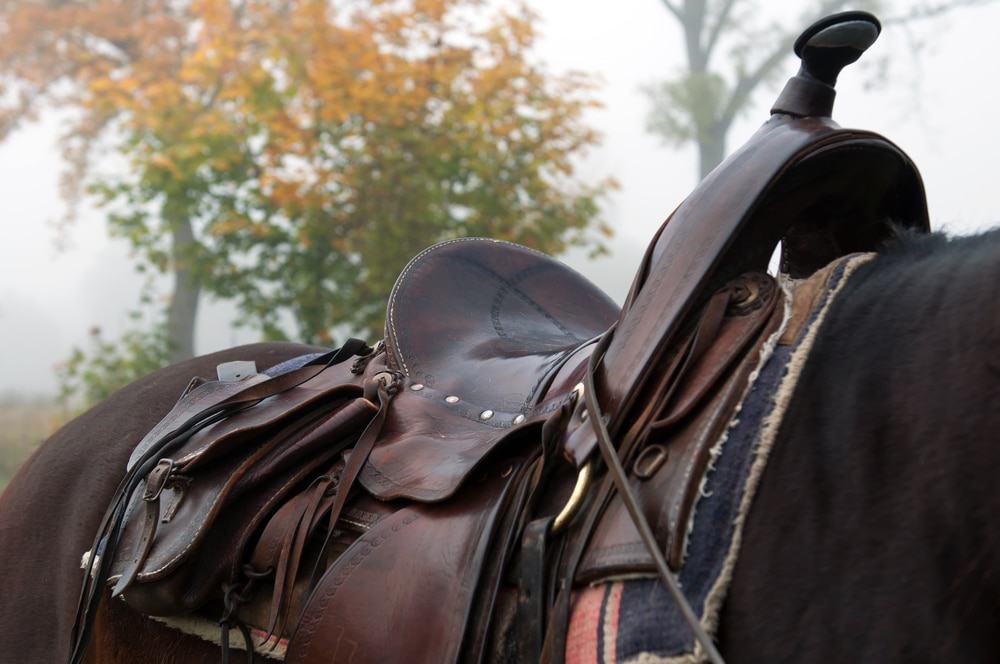 Horseback Saddle