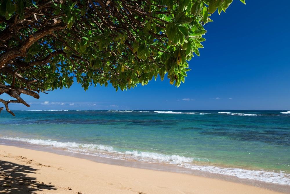 Anahola Beach, Kauai