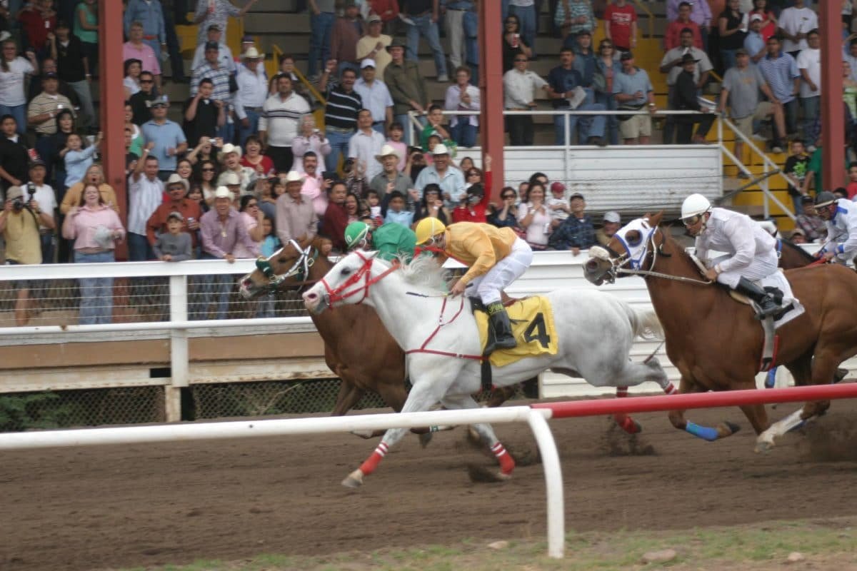 Cochise County Fairgrounds