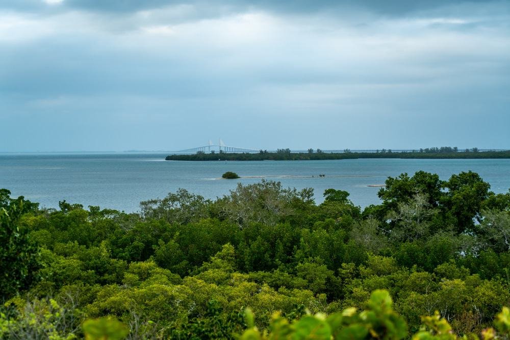 Emerson Point Preserve