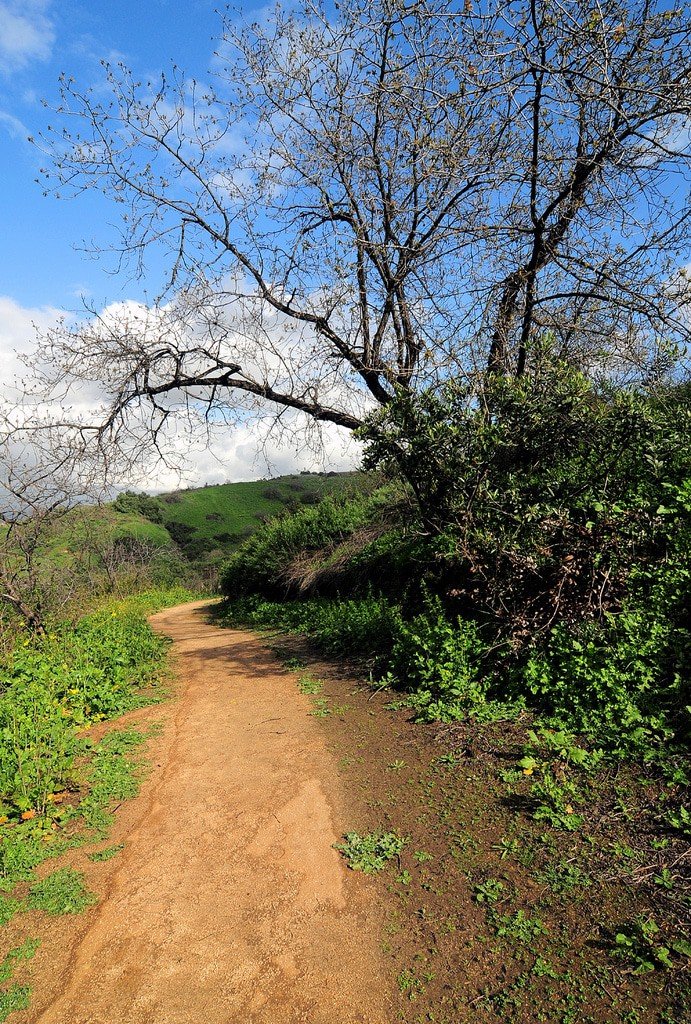 Galster Wilderness Park