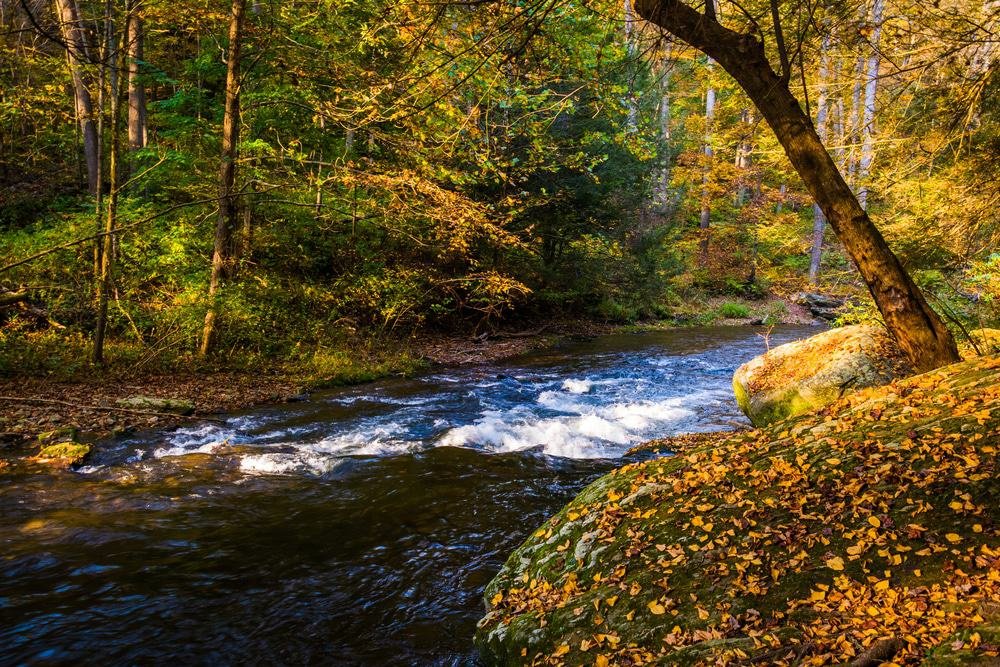 Gunpowder River