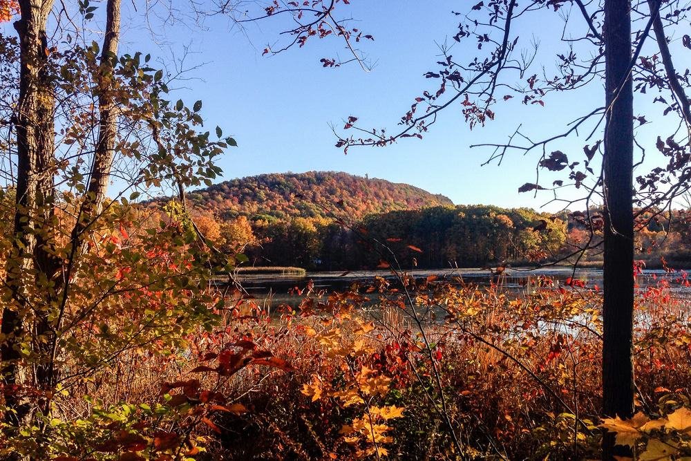Higby Mountain
