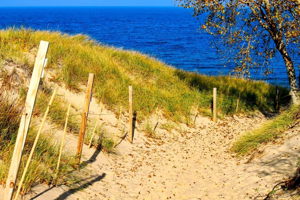 Indiana Dunes State Park