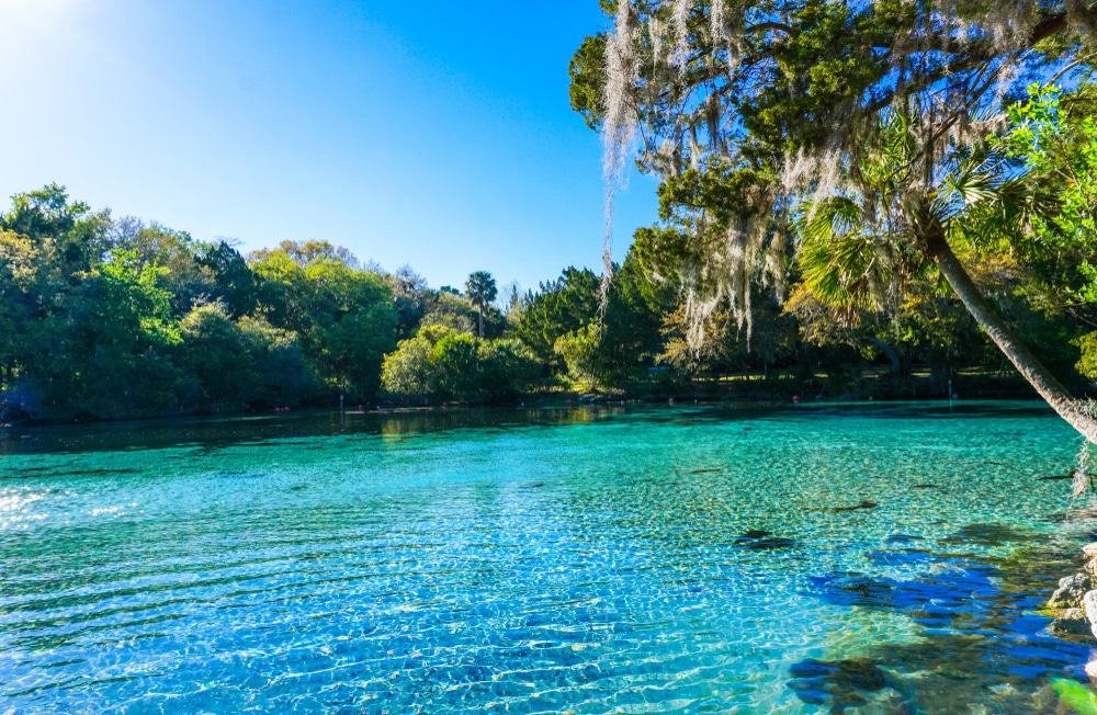 Silver Glen Springs Recreation Area, Ocala