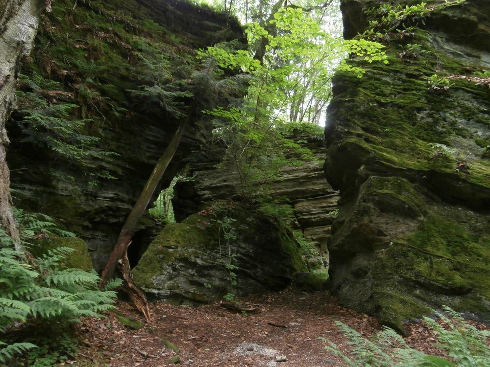 Panama Rocks Scenic Park, NY