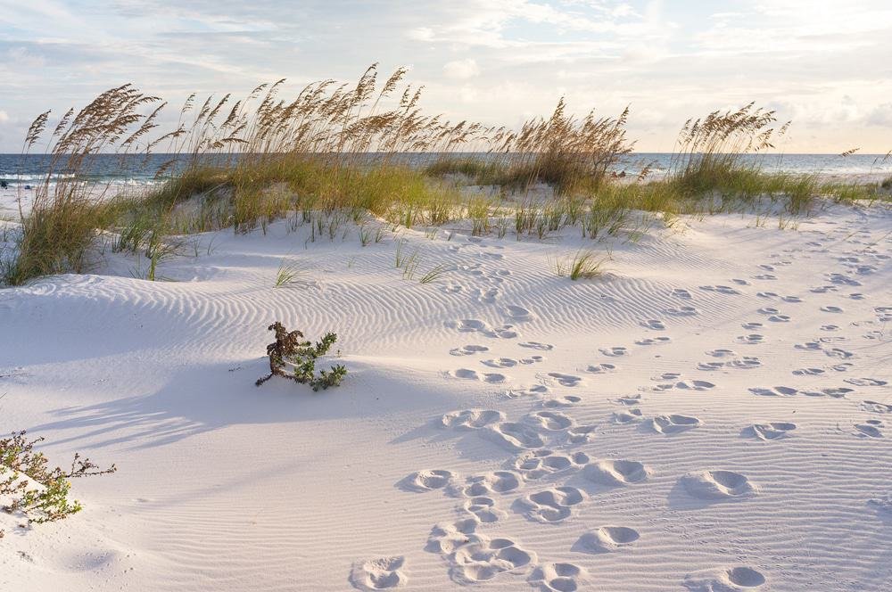Pensacola Beach, Florida