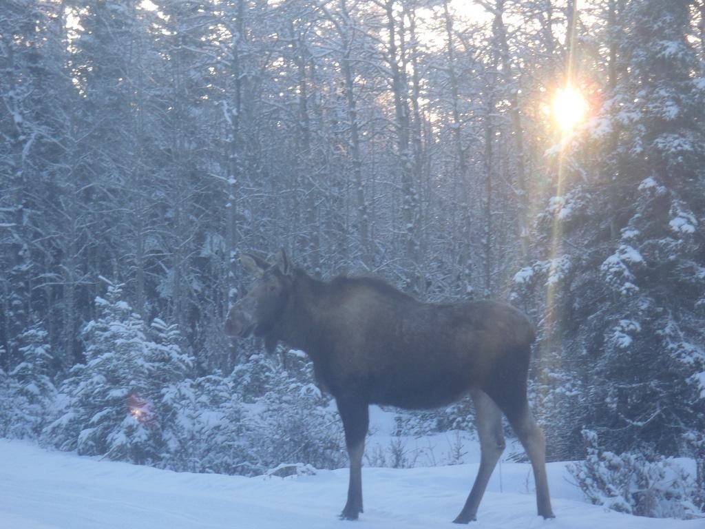 Ridgeway, Alaska