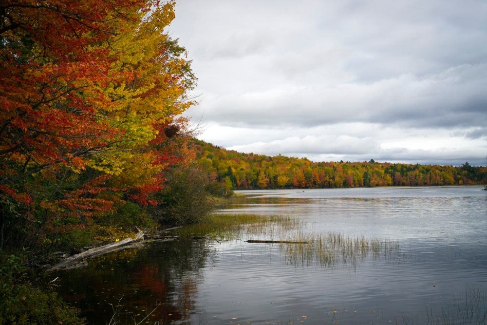 Androscoggin River