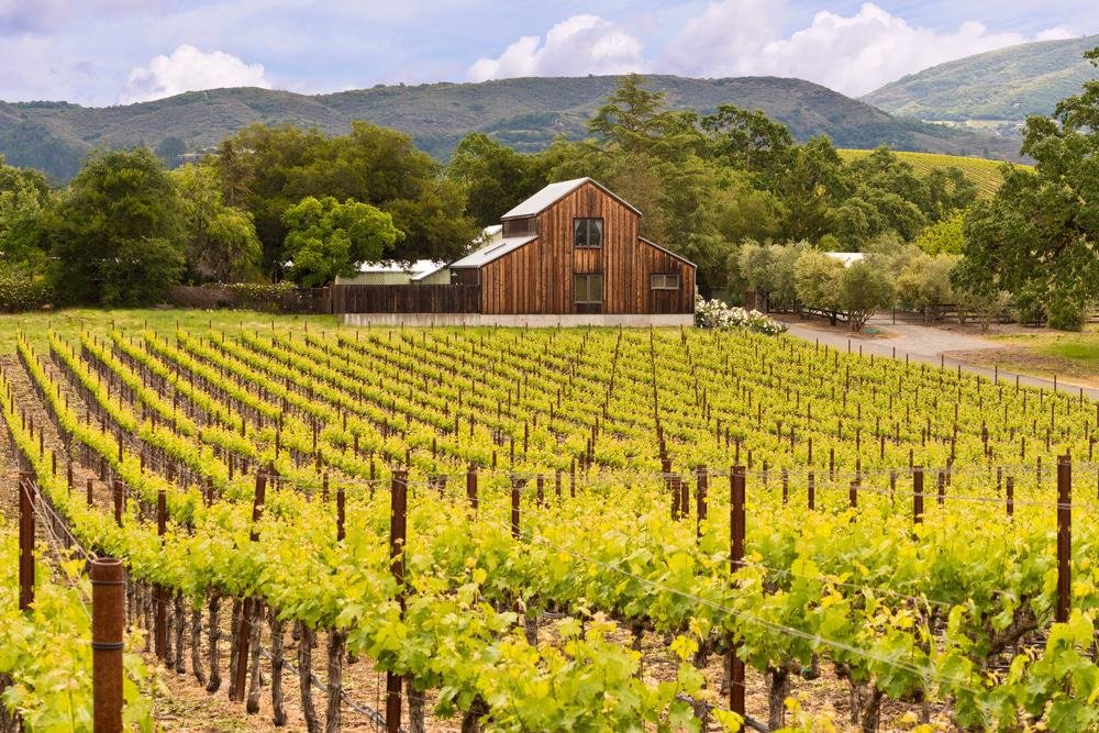 Napa Valley Vineyards