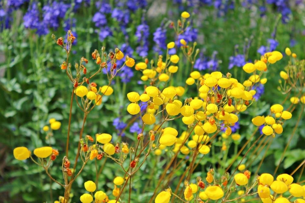 Yampa River Botanic Park